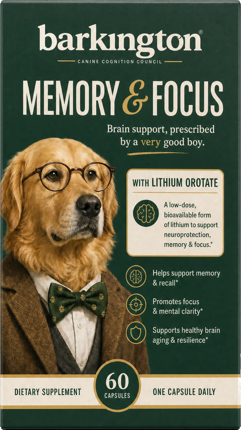 Barkington product image