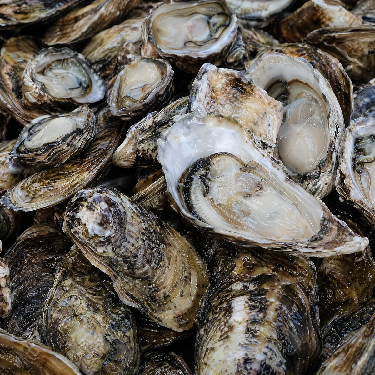 Black Seed Oil compound image