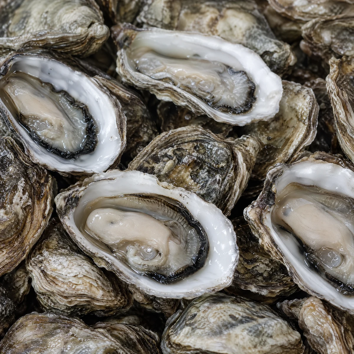 Thymoquinone compound image